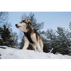 Arnés de entrenamiento para perros Truelove Country - TLH5651