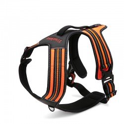 Arnés para perros Truelove Forest - TLH5551