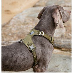 Arnés para perros Truelove Colorado - TLH6281