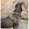 Arnés para perros Truelove Colorado - TLH6281