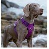 Arnés para perros Truelove Colorado - TLH6281