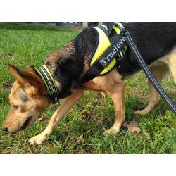 Collar flexible Truelove para perros - TLC5011