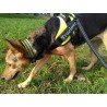 Collar flexible Truelove para perros - TLC5011