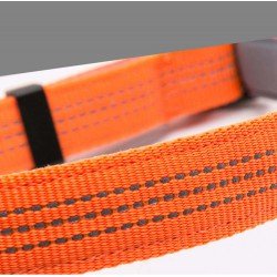 Collar para perros Truelove Flux - TLC5271