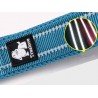 Correa para caminar Truelove - TLL2111