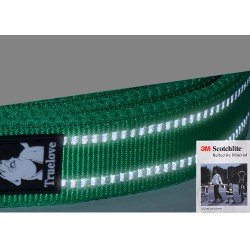 Correa para caminar Truelove - TLL2111