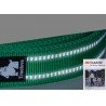 Correa para caminar Truelove - TLL2111