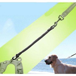 Correa extensible Truelove - TLL2971