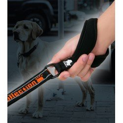 Truelove Pull + Leash - TLL3071