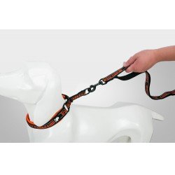 Truelove Pull + Leash - TLL3071
