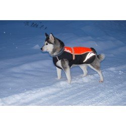 Chaqueta de nieve de invierno Truelove para perros - TLG2371