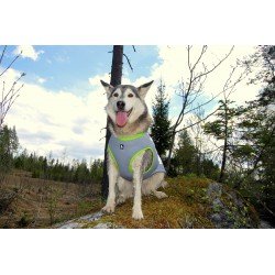 Chaqueta Truelove Summer Sun para perros - TLG2511