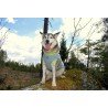 Chaqueta Truelove Summer Sun para perros - TLG2511
