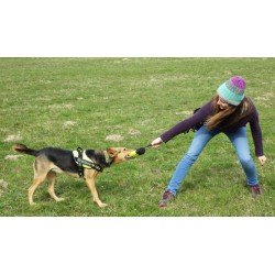 Bolsa de entrenamiento para perros Truelove Club - TLT1951