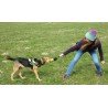 Bolsa de entrenamiento para perros Truelove Club - TLT1951