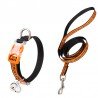 Collar y correa para gatos Truelove - TLC5311